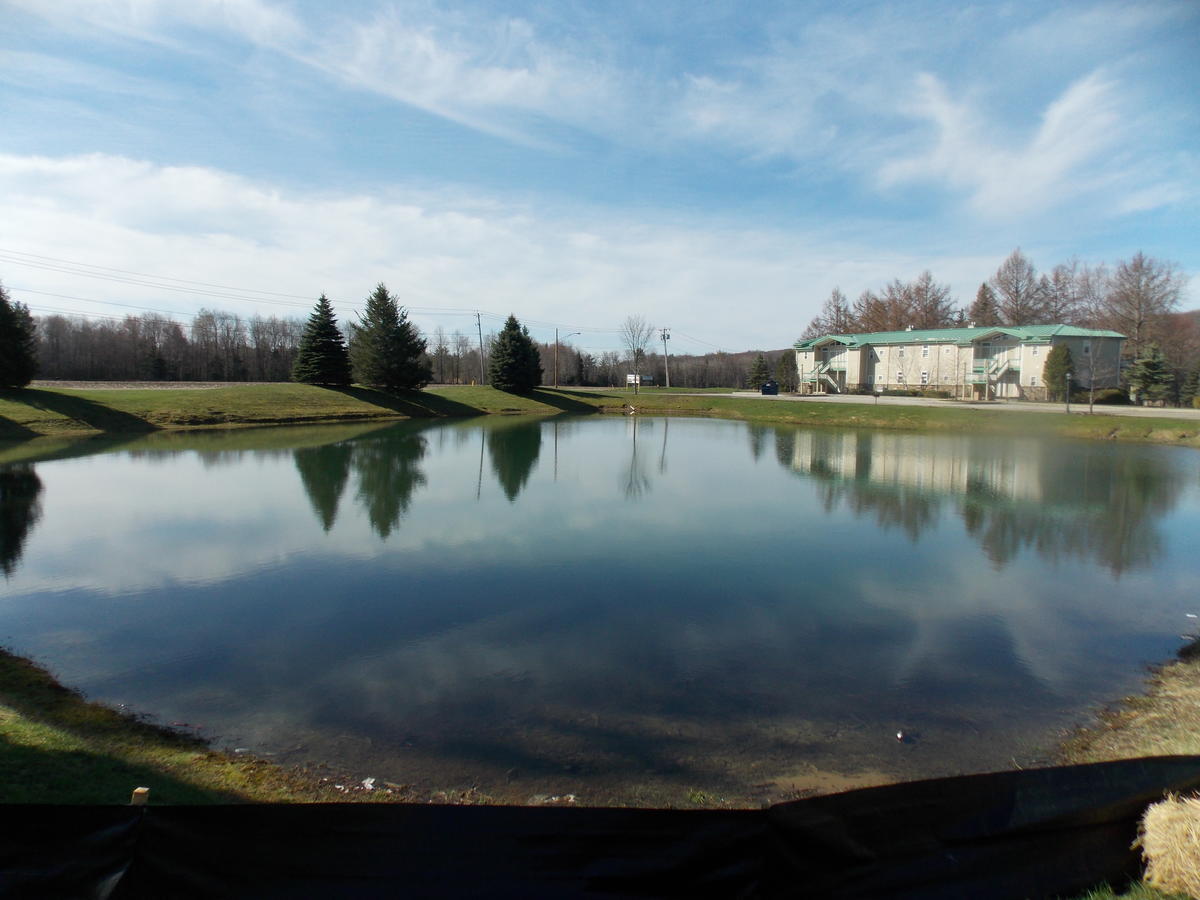Fairway Suites At The Peak French Creek Zewnętrze zdjęcie
